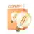 Osram Vintage 1906 LED E27 Globe Filament Gold 7.2W 806lm - 824 Extra Warm White | Replaces 60W
