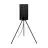 Eglo Pedestal Lamp Ladunara Steel Black | IP44 - Suitable for 1x E27